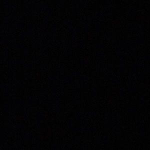 Meet your Posher, Gavin